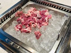 -九府羊·鲜羊火锅·烤串(新华路店)