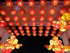 -雁滩公园