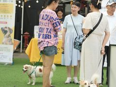 -老外街