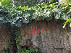 -广州兰圃