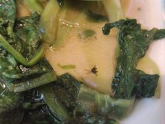 -蜀厨蓉匠(广福店)