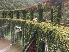 -郧西五龙河风景区