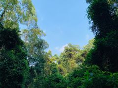 -火炉山森林公园