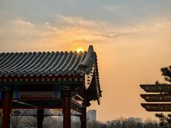 -西海子公园