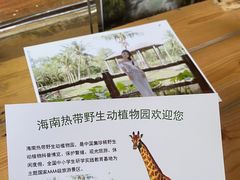 -海南热带野生动植物园