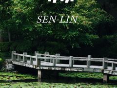 -杭州植物园