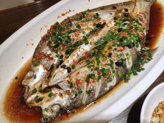 -洞庭渔人(沙湾店)