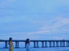 -宝安西湾红树林湿地公园