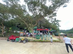-芦仙山景区-飞越丛林探险乐园
