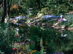 -上海共青森林公园