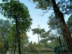 -番禺大夫山森林公园