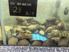 -渔码头食府(蓬莱阁店)
