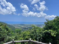-三亚亚龙湾人间天堂鸟巢度假村