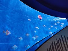 -沈阳海洋探索中心