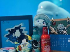 -海合安成都极地海洋公园