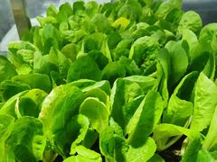 -阳光山水江湖菜馆(西山龙门店)
