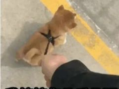 -快乐之星KTV(东沙路店)