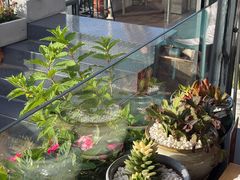 -野菌皇海景野生菌火锅(滨海大道店)