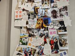 -伟伟宠物医院·CT影像中心·瑞派犬猫综合性门诊(汉口总院)