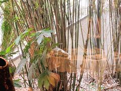 -申粤轩酒楼·三十年粤菜经典(丁香花园店)