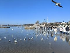 -老虎石海上公园