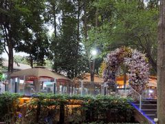 -二荆条·蜀鲜汇城市森林火锅