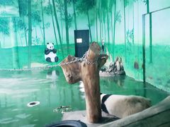 -泰山天颐湖旅游度假区