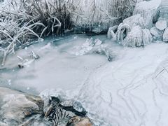 -黑龙潭风景区