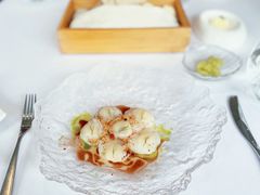 -蝶舍·MAISON PAPILLON