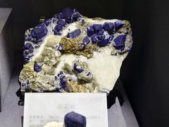 -湖南省地质博物馆