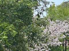 -上海宋庆龄故居纪念馆