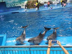 -多彩贵州城极地海洋世界