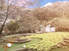 -福建鲤鱼洲酒店