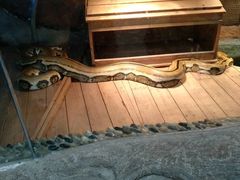 -荆州中山公园动物园