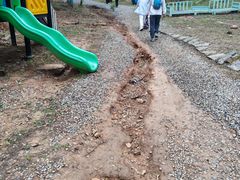 -金石滩蓝莓谷庄园