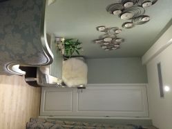 点击看大图 悦己堂-悦己堂美容养生SPA