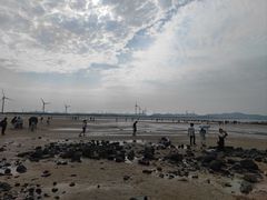 -长江澳风力发电景观区