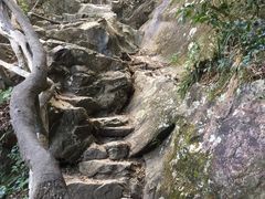 -梧桐山风景名胜区