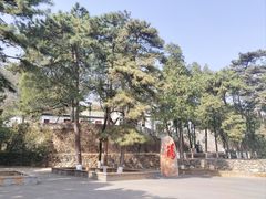 -北京鹫峰国家森林公园