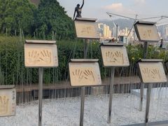 -星光大道