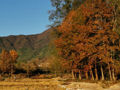 -塔川景区