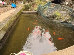 -途中饭店(开化店)