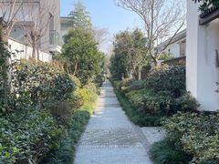 -水月周庄铂尔曼酒店 · 漾全日餐厅