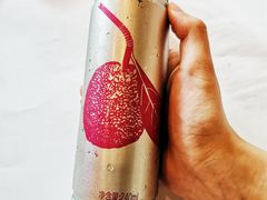 文和友杨梅汁-老长沙龙虾馆(梅林店)