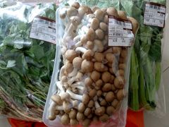 -大昌超市(中环店)