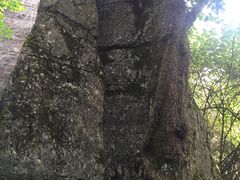 -山王坪喀斯特国家生态公园