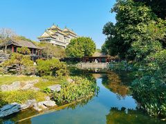 -顺峰山公园