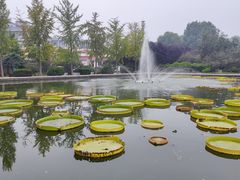 -石家庄市植物园