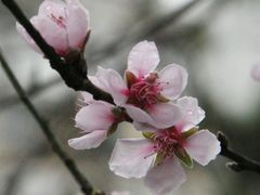 -大埔公路-马料水段香港中文大学(公交站)