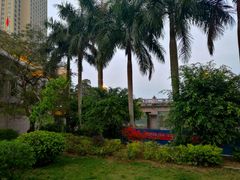 -东兴口岸-中越友谊大桥